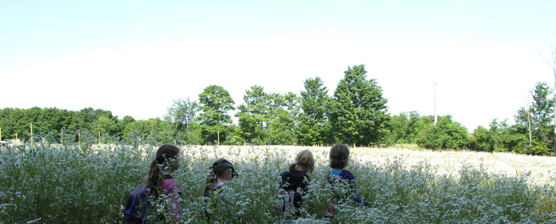 Group of young children walking through a field of tall grass